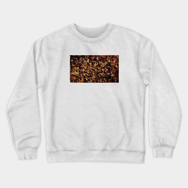 Monarch Butterfly Crewneck Sweatshirt by artbypond